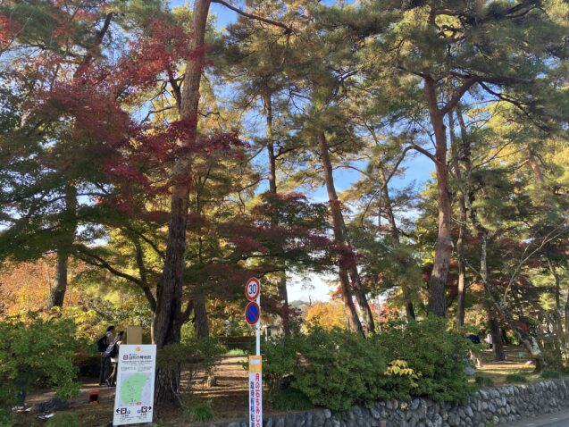 IMG_5260 紅葉2